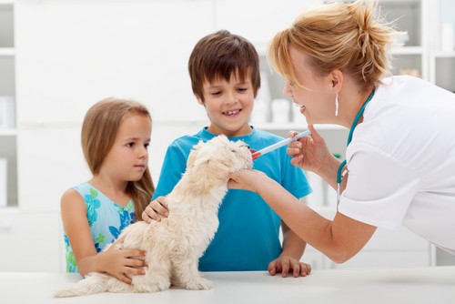Vaccinations Delaware