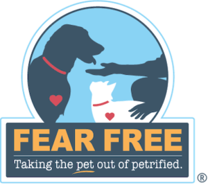 fear-free
